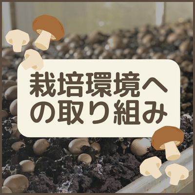 栽培環境への取り組み