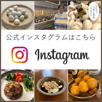 Instagram” width=